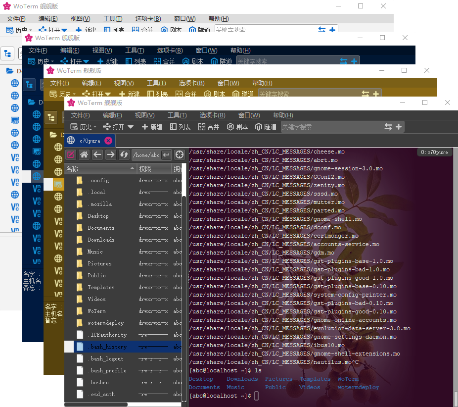 WoTerm9.29.6