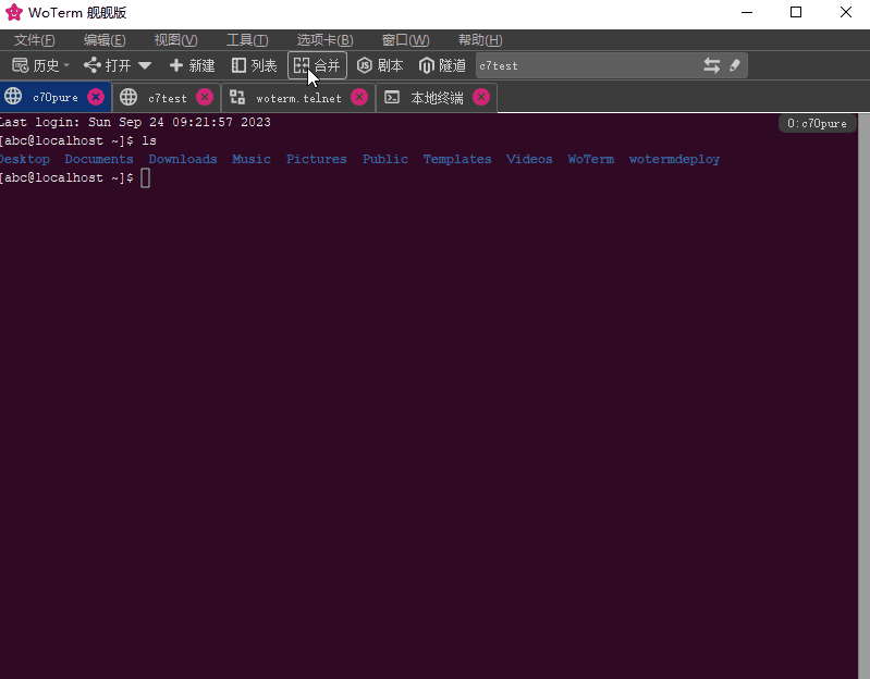 WoTerm9.29.6
