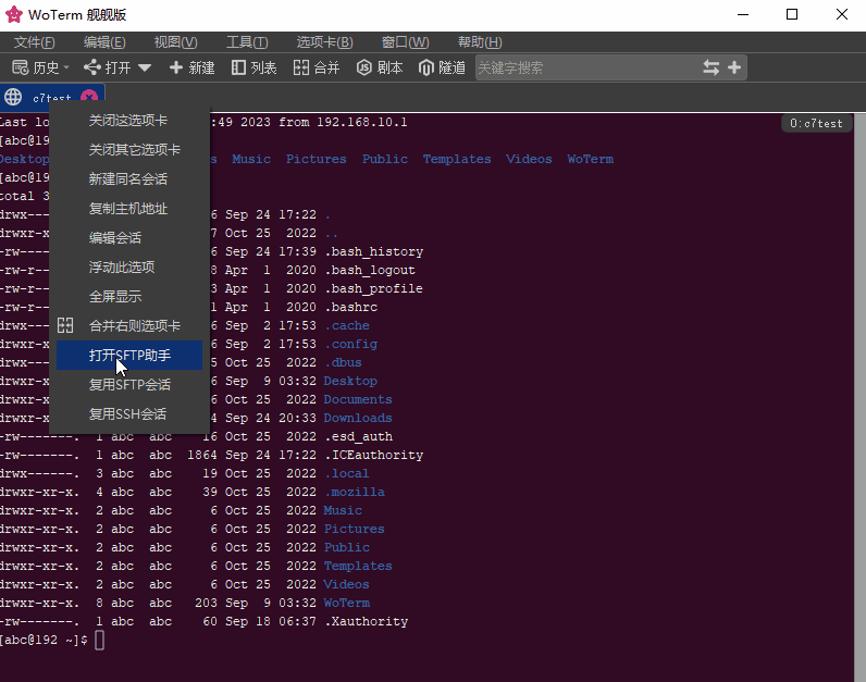 WoTerm9.29.6