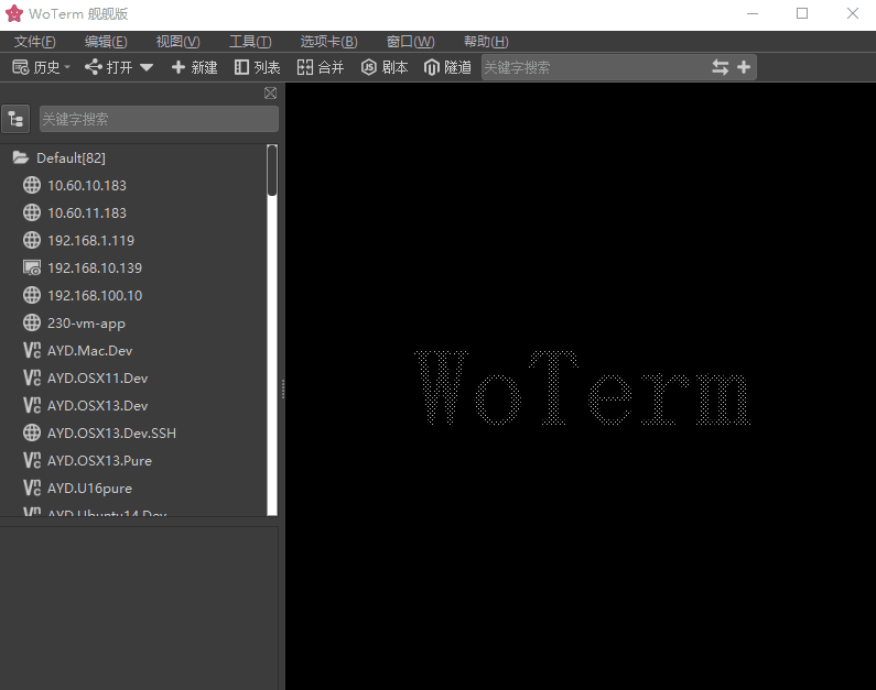 WoTerm9.29.6