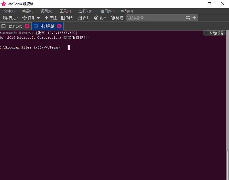WoTerm9.29.6