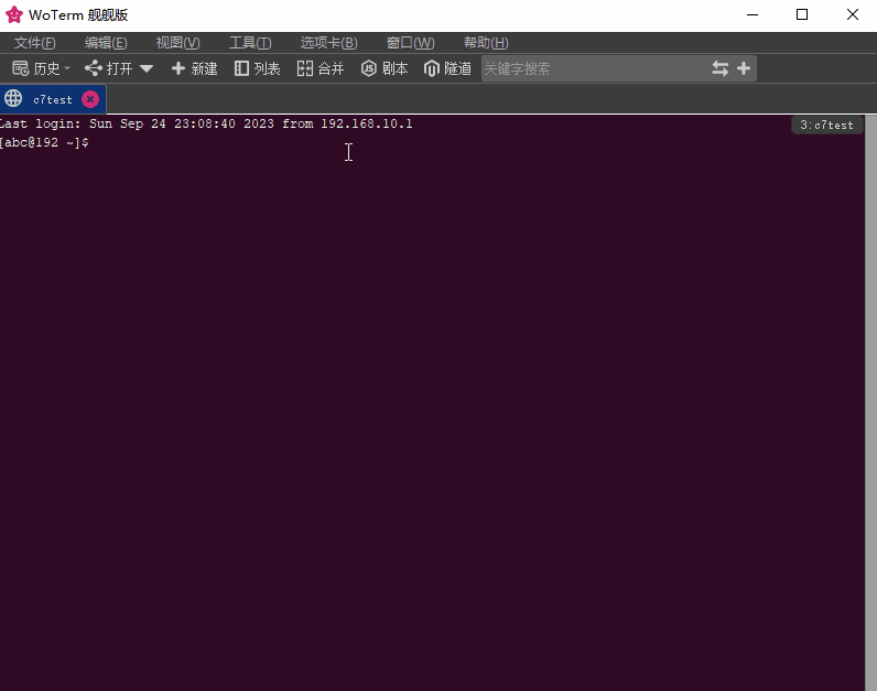 WoTerm9.29.6