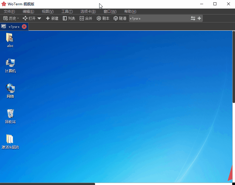 WoTerm9.29.6
