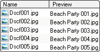 FlashRenamer_Portable6.81
