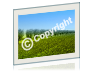 Light Image Resizer 6.1.9.0