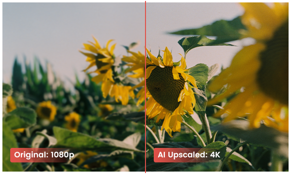 AVCLabs Video Enhancer AI3.2.2