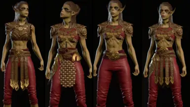 《博德之门3》MOD|新的营地服装|