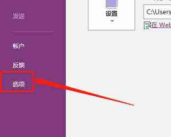 OneNote怎么关闭自动计算数学表达式功能