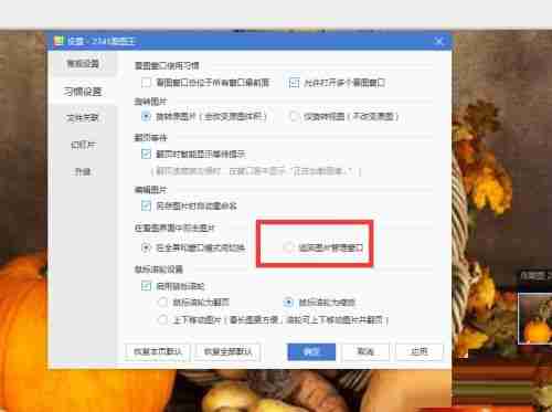 2345看图王双击打开图片管理怎么设置