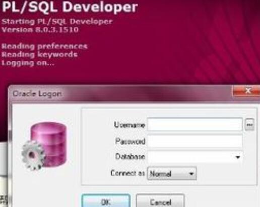pl/sql developer中文乱码