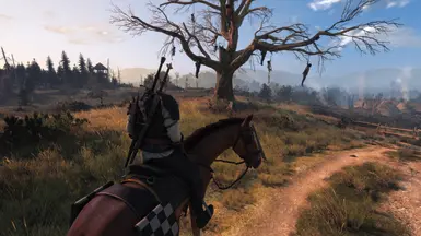 《巫师3：狂猎》可切换斗篷MOD