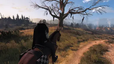 《巫师3：狂猎》可切换斗篷MOD