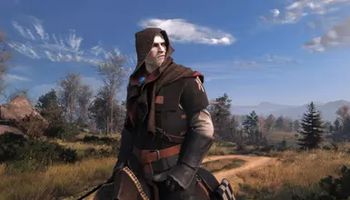 《巫师3：狂猎》可切换斗篷MOD