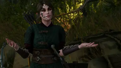 《巫师3：狂猎》女性精灵NPC大改MOD