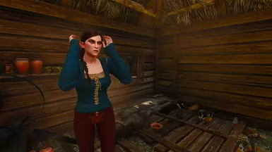 《巫师3：狂猎》女性精灵NPC大改MOD