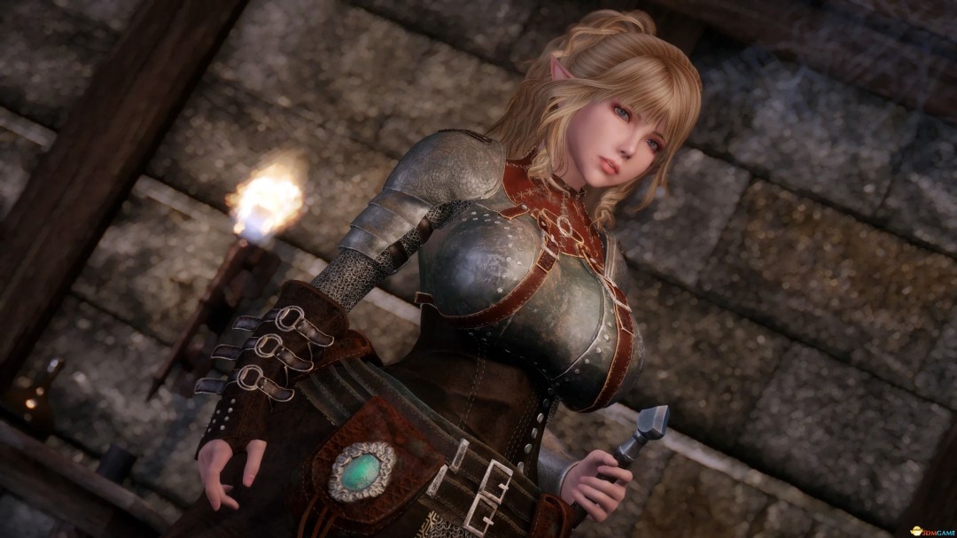 《上古卷轴5：天际重制版》MOD|巫师3希里概念艺术装甲|下载