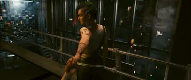 《赛博朋克2077》MOD|环聊的浪漫|下载