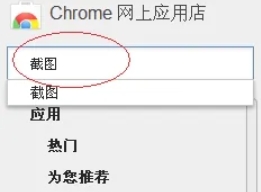 Google浏览器怎么截图