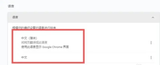 Google浏览器怎么设置中文