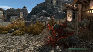 《上古卷轴5：天际重制版》天然香草植物MOD