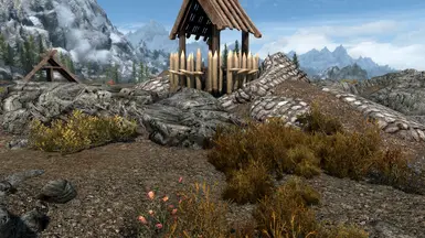 《上古卷轴5：天际重制版》天然香草植物MOD