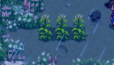 《星露谷物语》MOD|烟草作物|下载