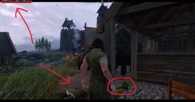 《上古卷轴5:天际重制版》MOD|更逼真罚款|下载