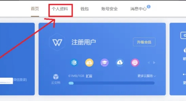wps电脑版怎么查看当前在线设备