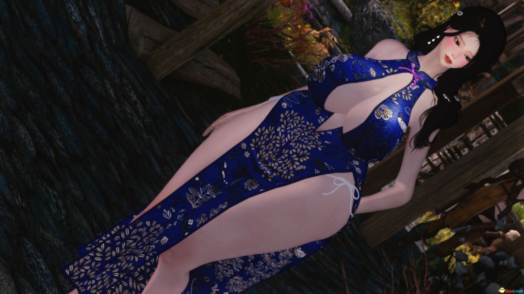 《上古卷轴5：天际重制版》MOD|东方旗袍|下载