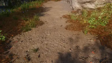 《上古卷轴5：天际重制版》MOD|肮脏的泥土|下载