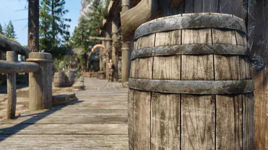 《上古卷轴5：天际重制版》区域食品桶MOD