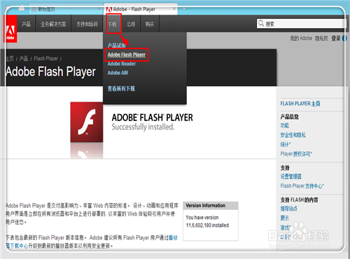 FlashPlayer旧版本