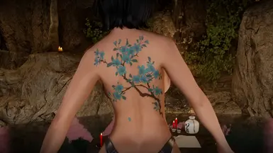 《上古卷轴5：天际重制版》MOD|花卉纹身|下载