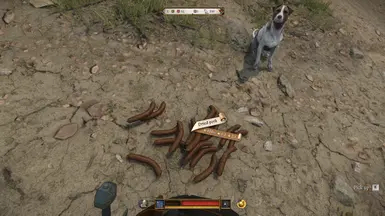 《天国：拯救2》肉干MOD