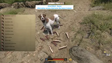 《天国：拯救2》肉干MOD