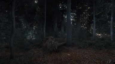 《天国：拯救2》王国之魂MOD