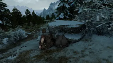 《上古卷轴5：天际重制版》MOD|可选的快速入门|下载