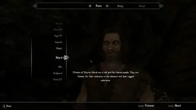 《上古卷轴5：天际重制版》MOD|可选的快速入门|下载