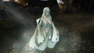 《上古卷轴5：天际重制版》透明度重影效果MOD