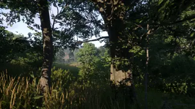 《天国：拯救2》较暗的阴影预设MOD