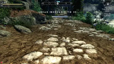 《上古卷轴5：天际重制版》MOD|安魂曲的更大手提袋|下载