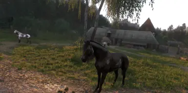 《天国：拯救2》马匹大修MOD