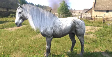 《天国：拯救2》马匹大修MOD