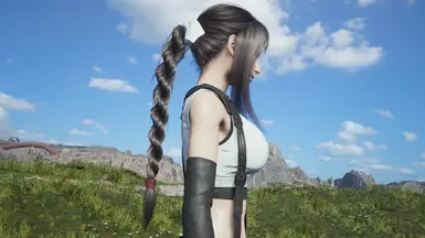 《最终幻想7:重生》MOD|蒂法马尾辫|下载