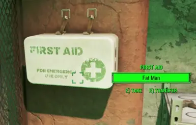 《辐射4》MOD|战利品随机化器|下载