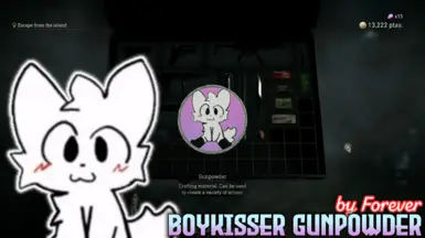 《生化危机4:重制版》MOD|Boykisser火药盒|下载