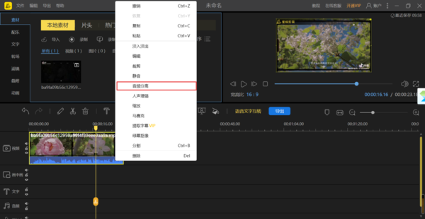 蜜蜂剪辑软件能提取视频中的音乐吗