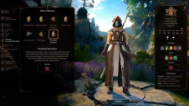 《博德之门3》悲惨的血统巫师MOD