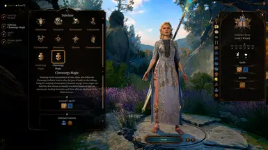 《博德之门3》编年史魔法巫师分支职业MOD