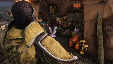 《上古卷轴5：天际重制版》MOD|泥蟹商人|下载